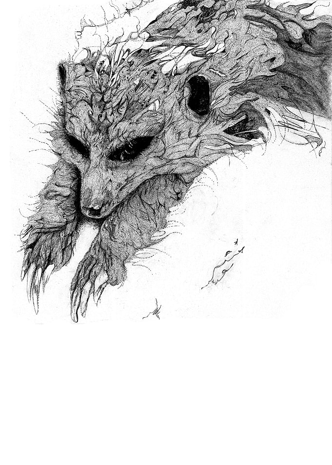 Meerkat 2