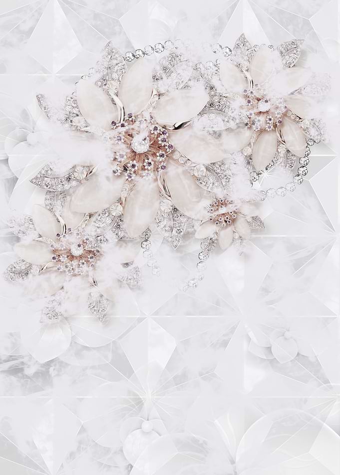 Winter Rose 2