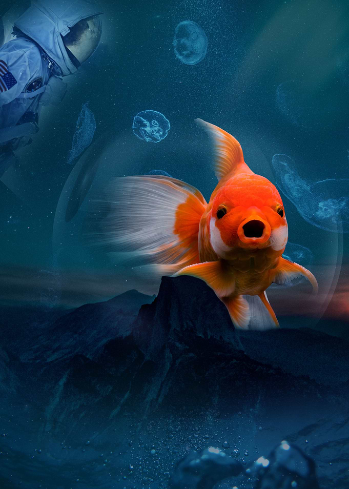 space fish