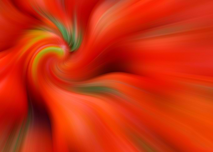 Tomato Soup