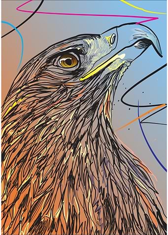 Hawk