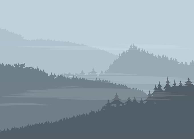 mountains in fog