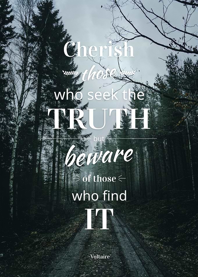 Typographic Voltaire Quote