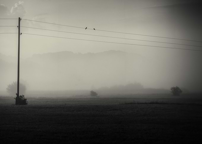 Foggy Date