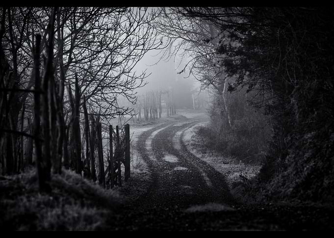 Foggy Road
