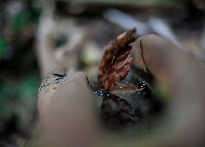 Falling