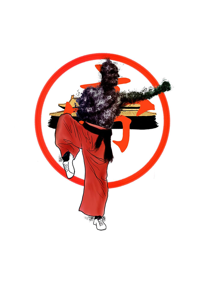 Martial Arts Shadow