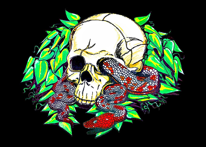 Skull & Snake