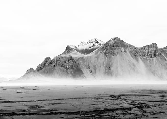 the Mist