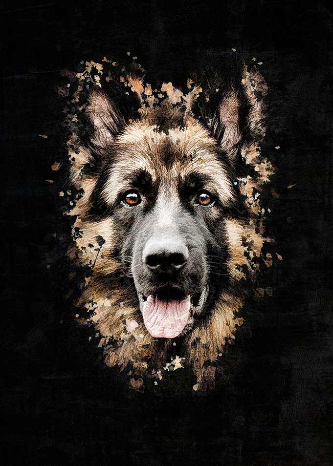 German Shepherd