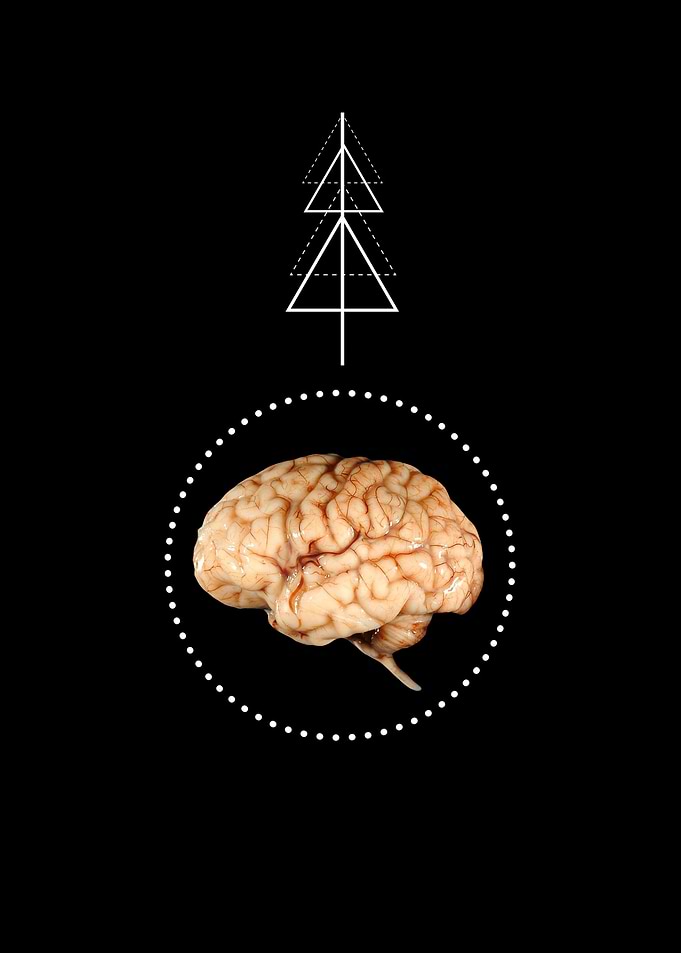 Use your brain