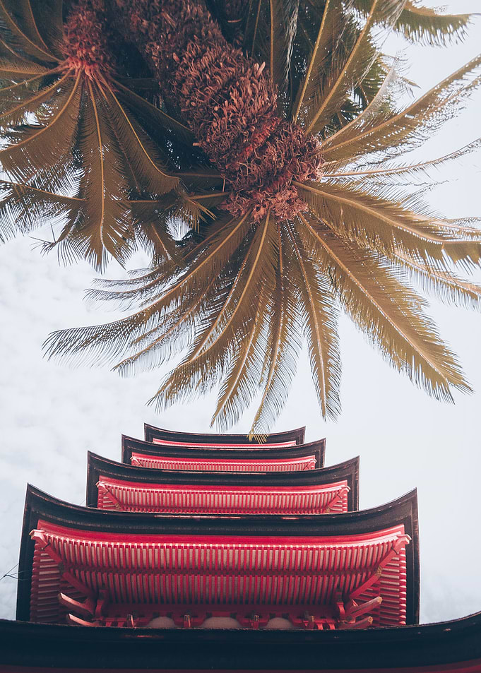 Tropical Japan