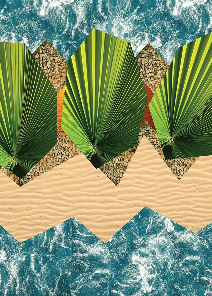 Tropical Summer Beach