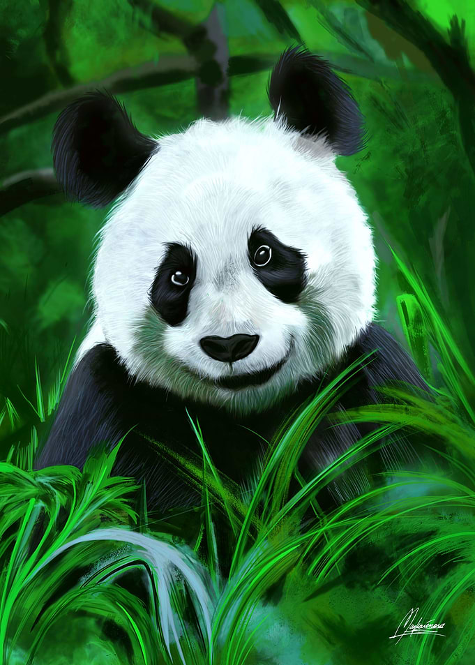 KAWAII PANDA