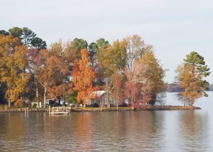 The Cove