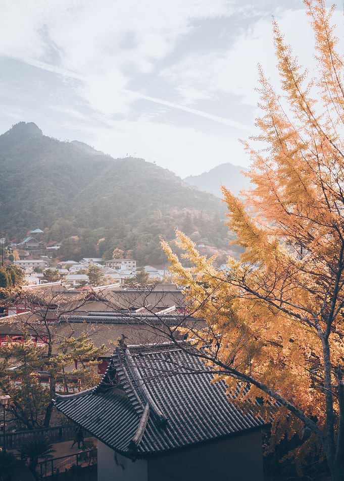 Rural Japan