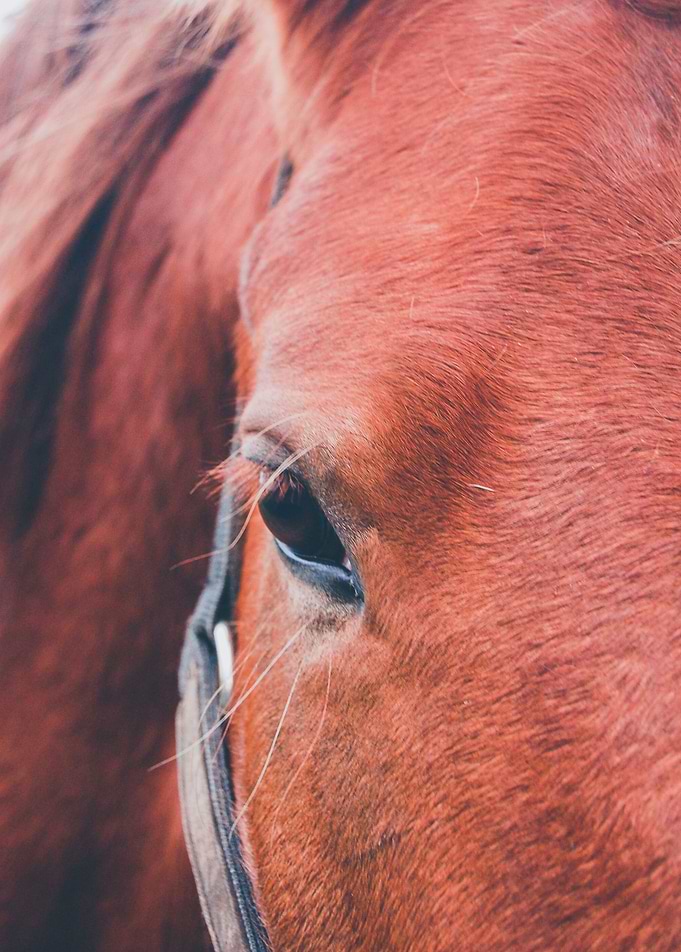 All in the Eyes