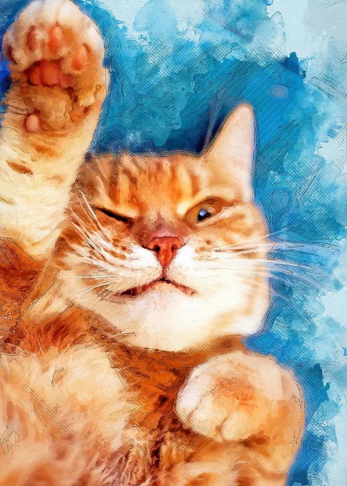 Cat Rudolf