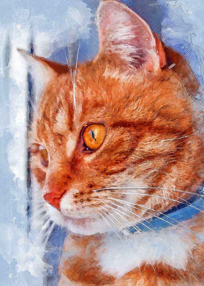 Cat Rudolf