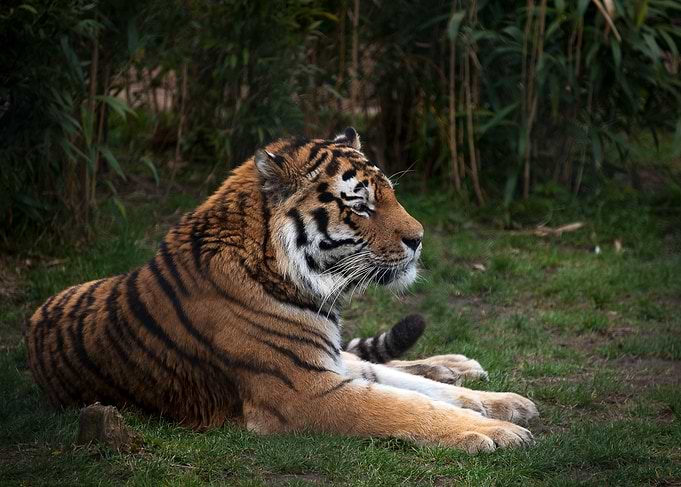 Relaxing time