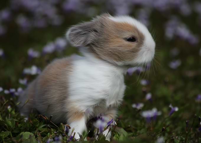 Spring is in the air