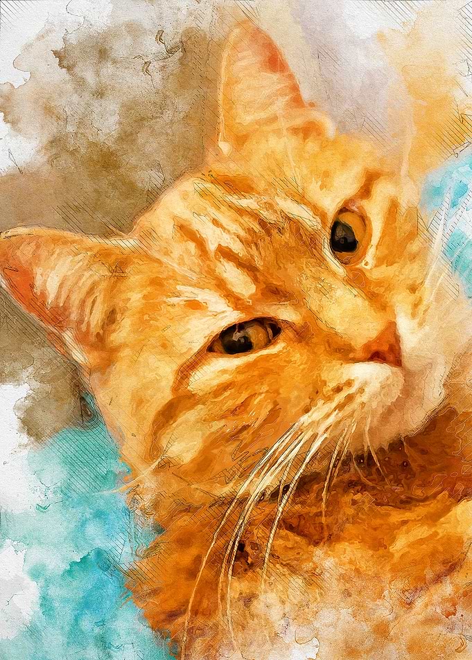Cat Rudolf