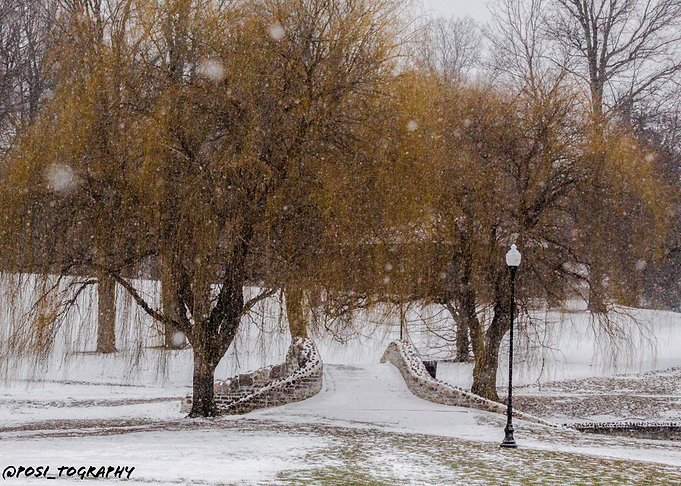Cold Crossing