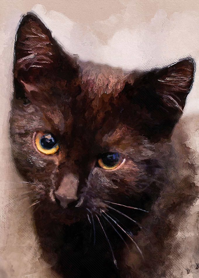 Cat Hera