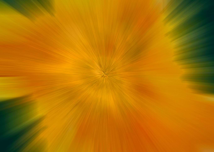 Sun Rays