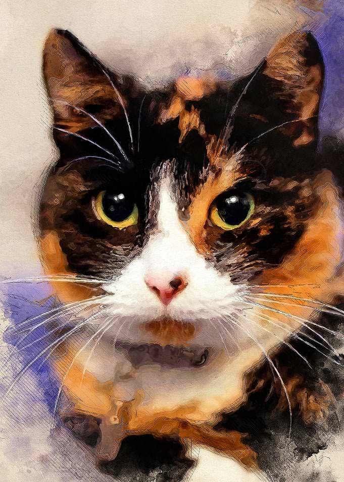 Cat Stefcia