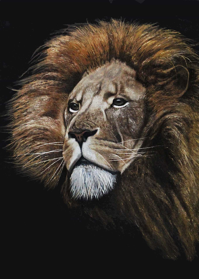 The King