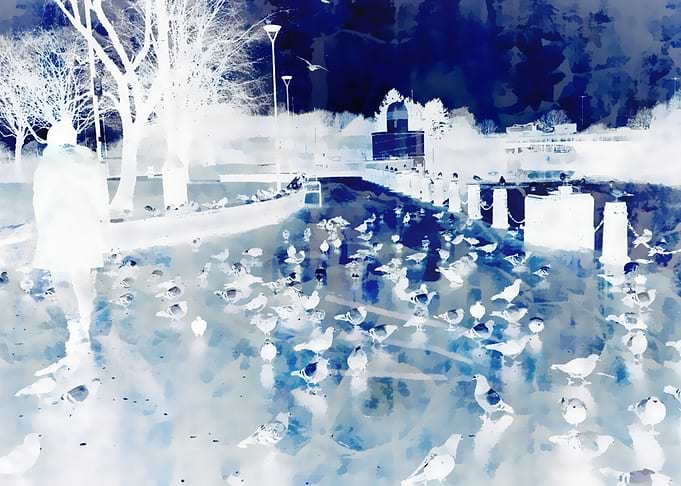 Girl Among The Pigeons 2
