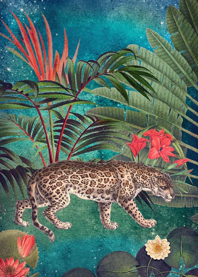 Exotica Collage