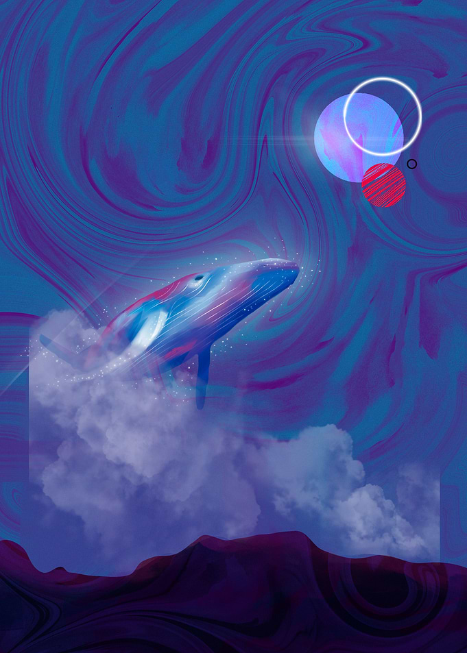 Cosmic Trip