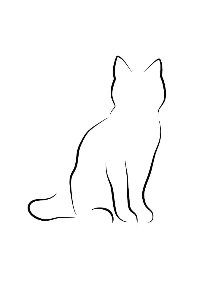 Sitting Cat