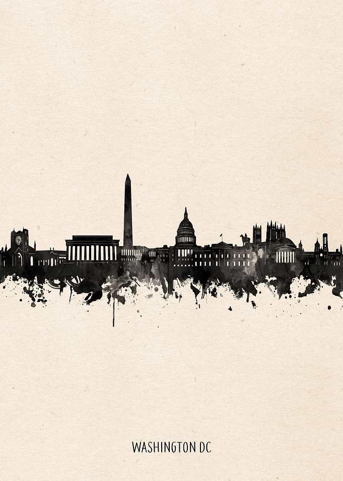 washington dc city portrai
