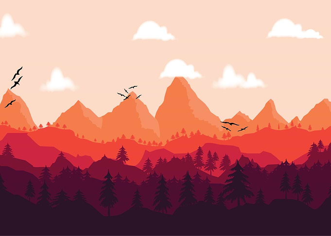 Sunset in Woods