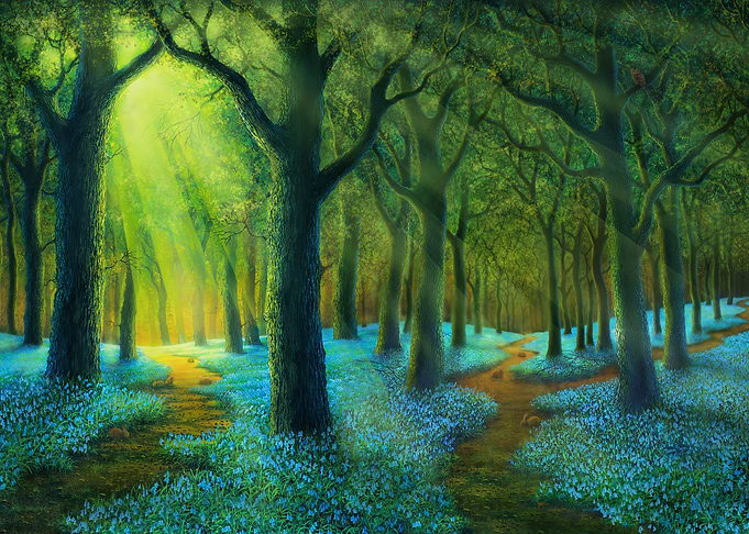 Bluebell Wood