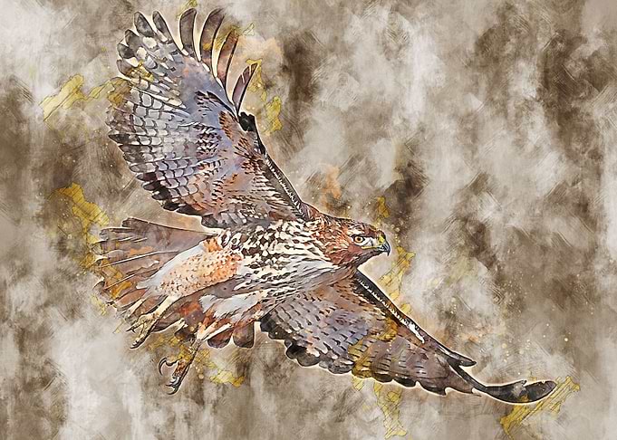 Bird in flight