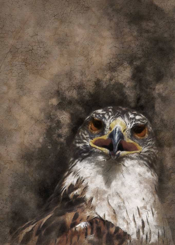 Eagle