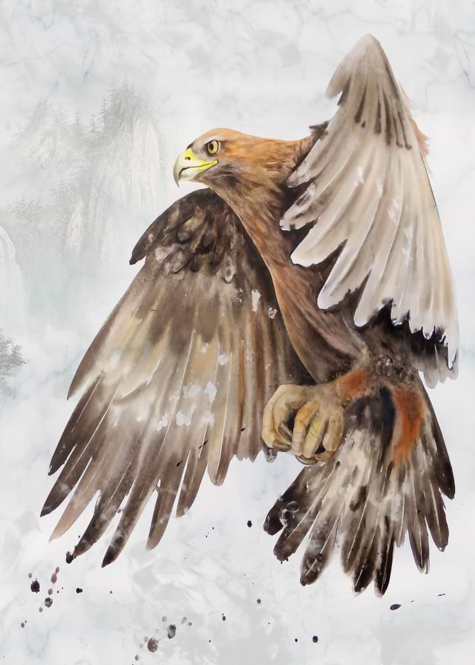 Eagle