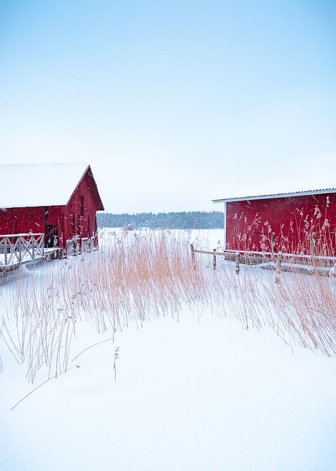 Winter
