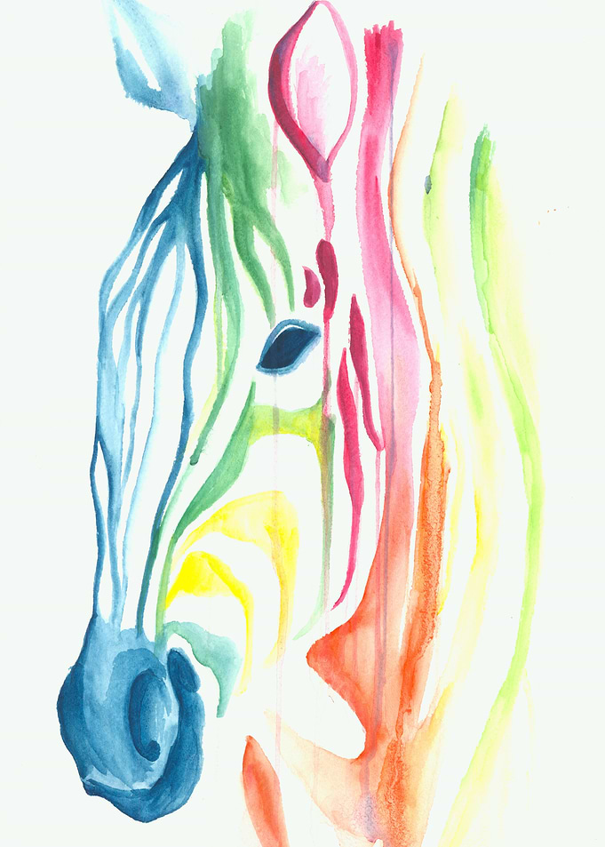 Zebra