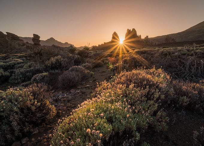 Roques de Garcia