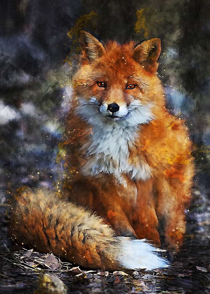 Fox 3
