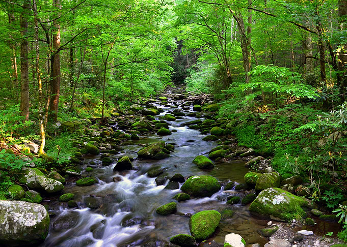 Mountain River