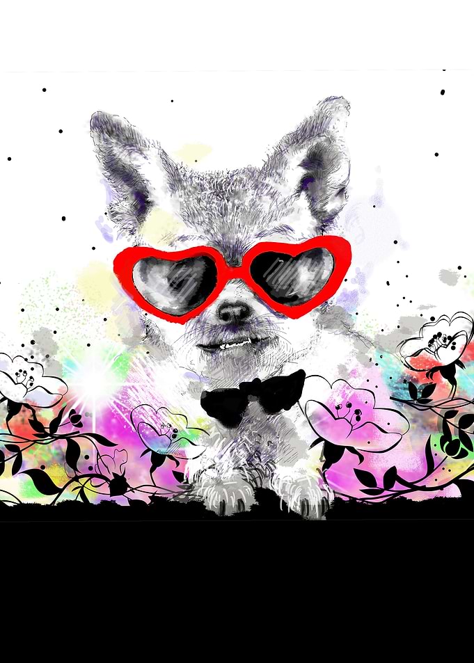 Dog with sunglasses