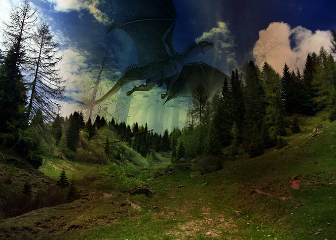 dragon in the wild