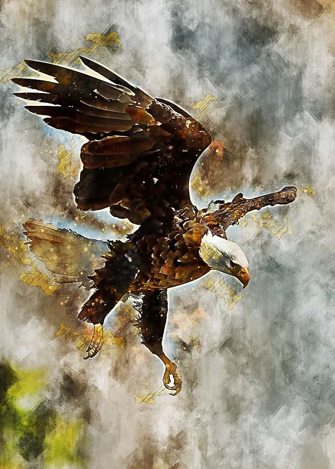 Eagle
