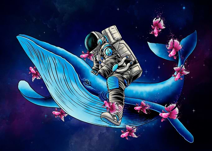 Space Wanderer 2